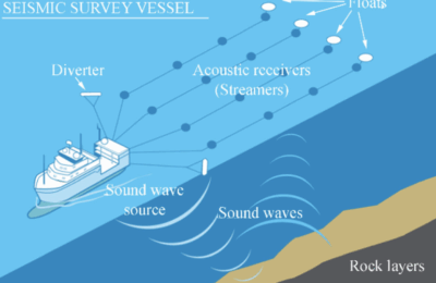 Seeing Magma Under the Seafloor