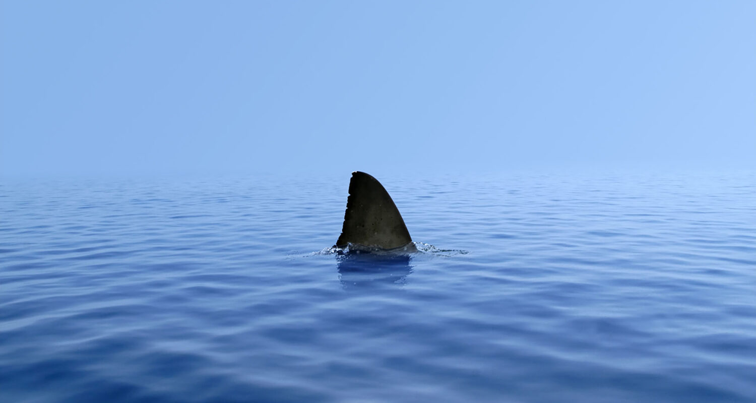 Photo credit: Marine Stewardship Council