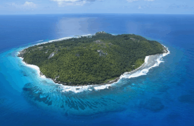 Uncovering Sharks and Rays of Frégate Island