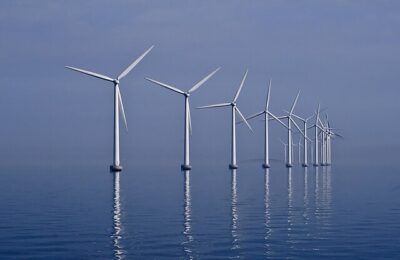 How do offshore wind farms impact marine invertebrate communities?