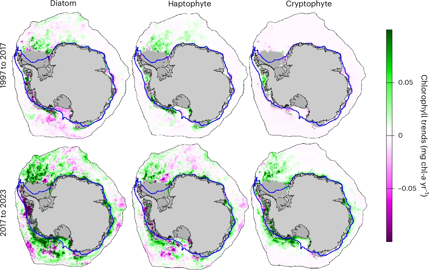 Maps of Antarctica showing regions of chlorophyll increase and decrease.