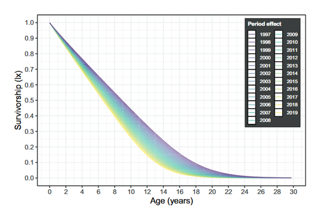 Line graph, dropping sharply from top left to bottom righ, showing the delcine in survivorship of dolphins of in different years