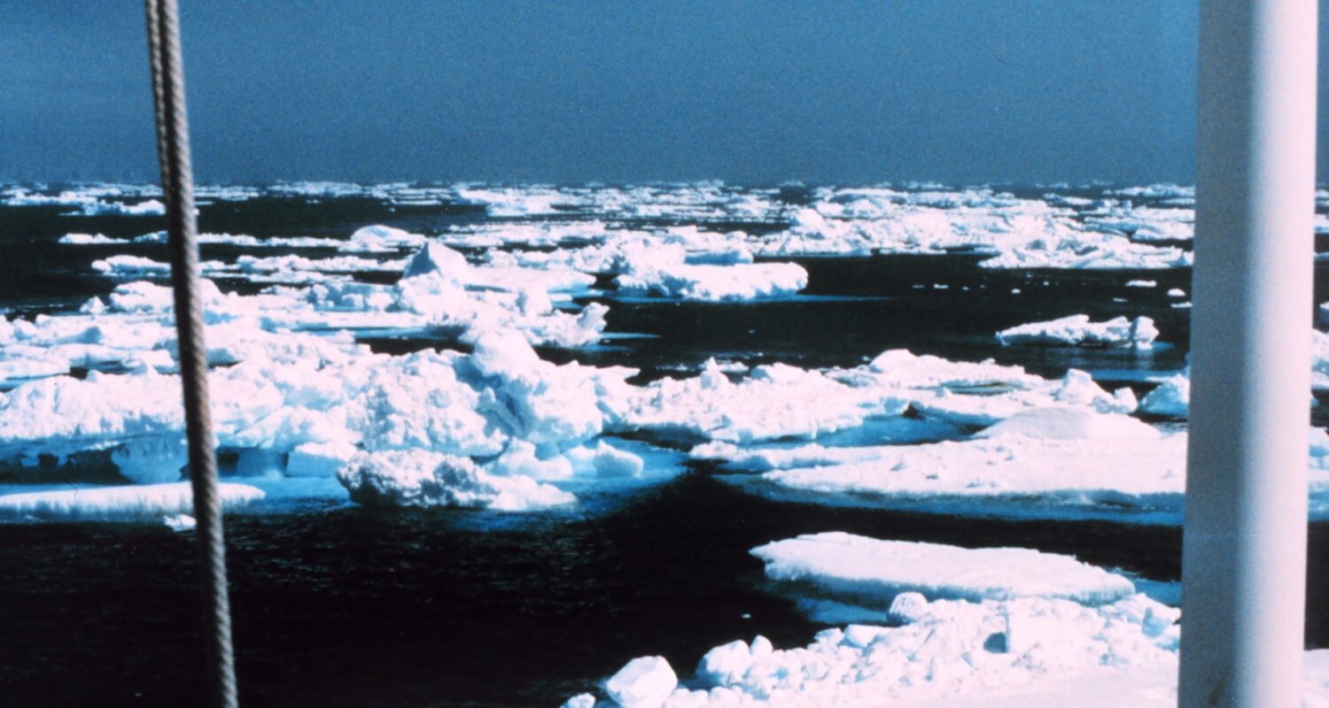 Ice floes off the Antarctic Peninsula