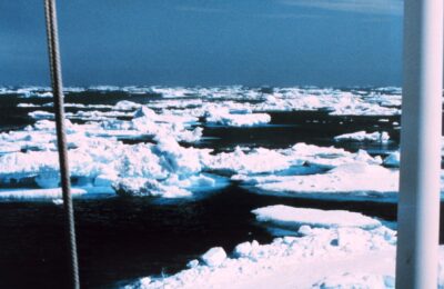 It’s a Domino Effect: As the Ice Shifts, So Does Everything Else