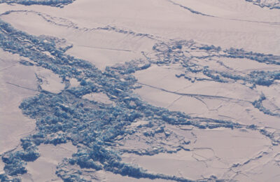Rethinking Sea Ice Ridges as Algae Habitats
