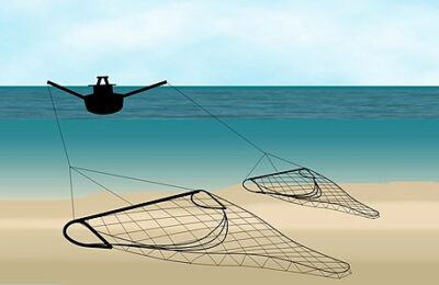 The Impacts of Bottom Trawling on Seafloor Communities