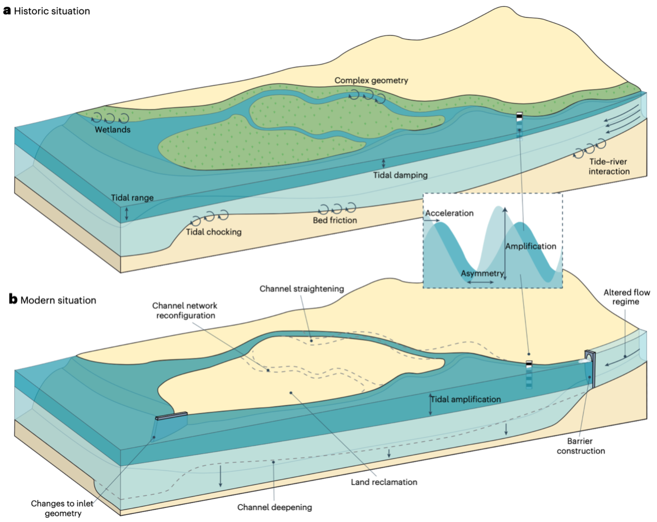 Human Activity in Estuaries is Worse for Coastal Flooding than Sea ...