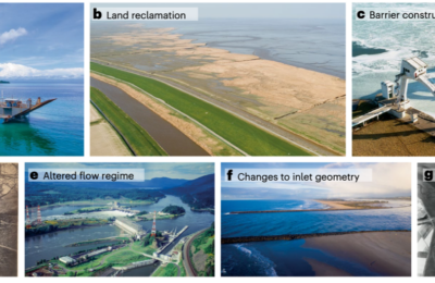 Human Activity in Estuaries is Worse for Coastal Flooding than Sea Level Rise