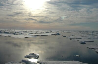 The Arctic Ocean’s Acidification Diagnosis